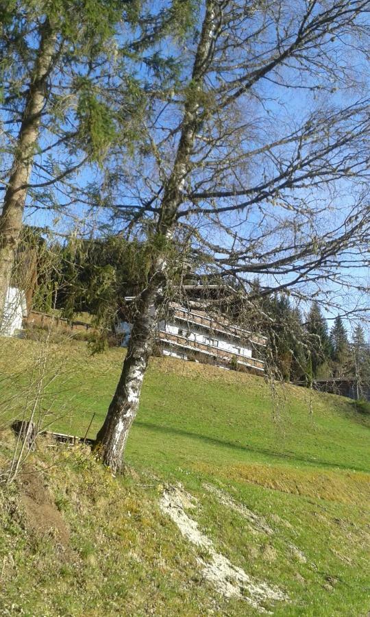 Pension Chalet Bergseegut Wagrain Eksteriør bilde