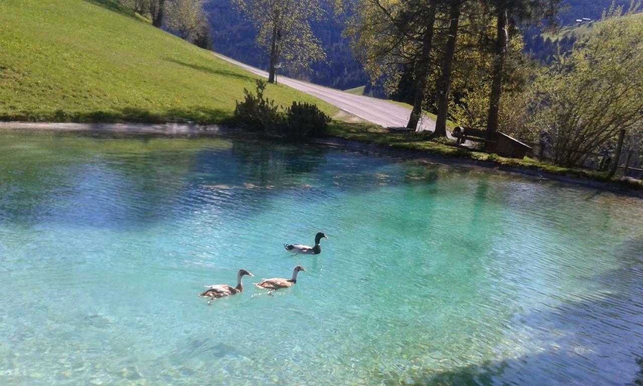 Pension Chalet Bergseegut Wagrain Eksteriør bilde