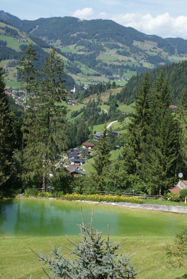 Pension Chalet Bergseegut Wagrain Eksteriør bilde