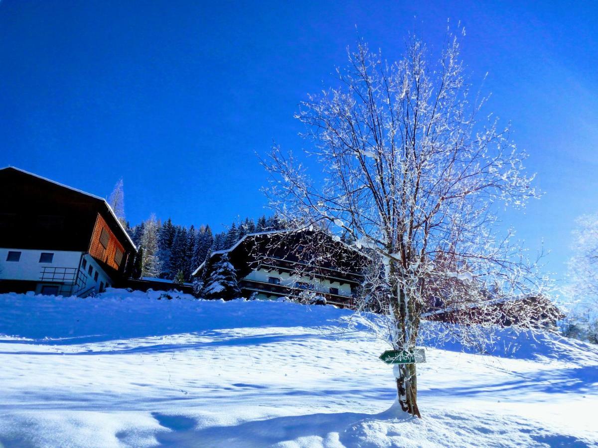 Pension Chalet Bergseegut Wagrain Eksteriør bilde