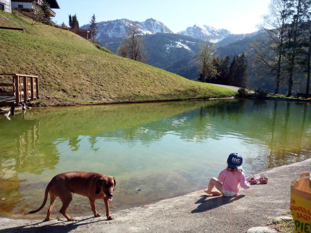 Pension Chalet Bergseegut Wagrain Eksteriør bilde